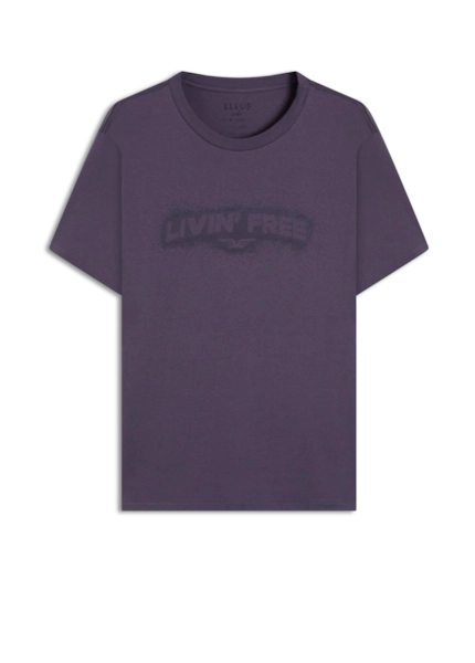 Desenvolvimento 33 Purple Blue