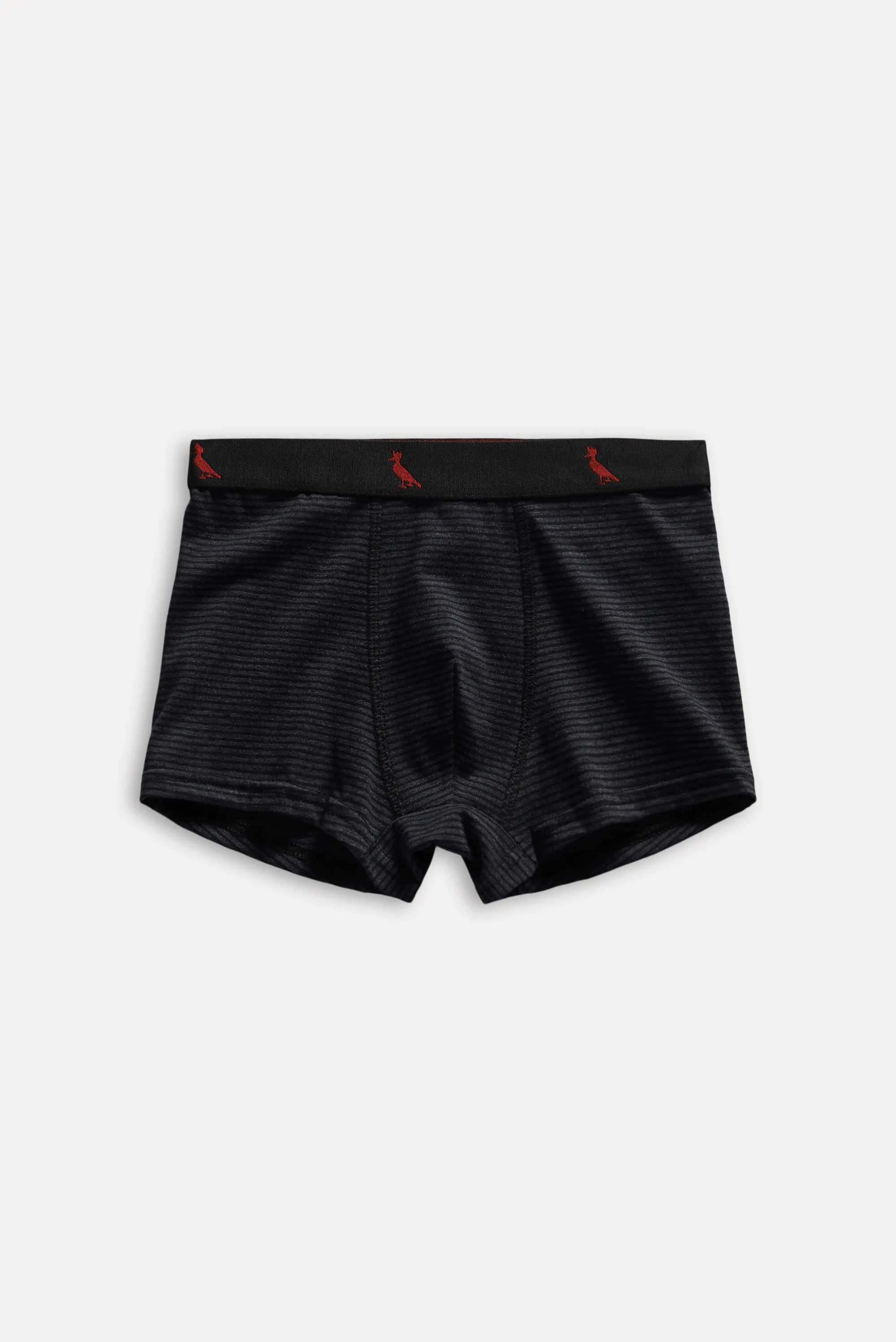 Boxer Mini Listradinha