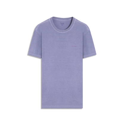 T-Shirt Paisagem Sal Washed Bf Misty